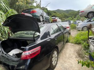 天水圍劏車案例