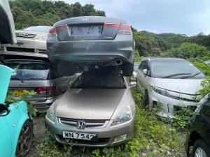 粉嶺劏車案例
